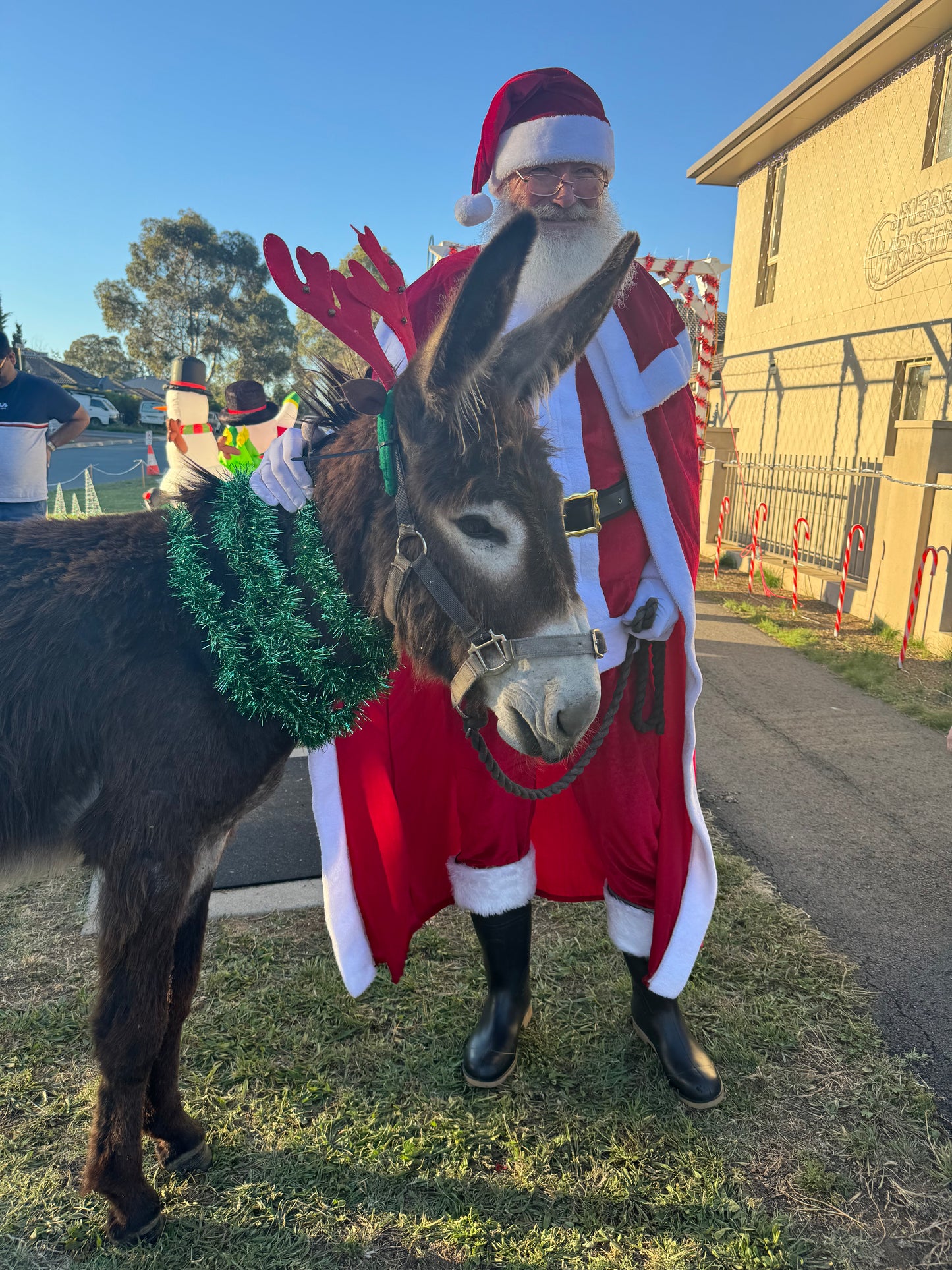 Craig the Donkey